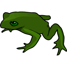A green jumping frog